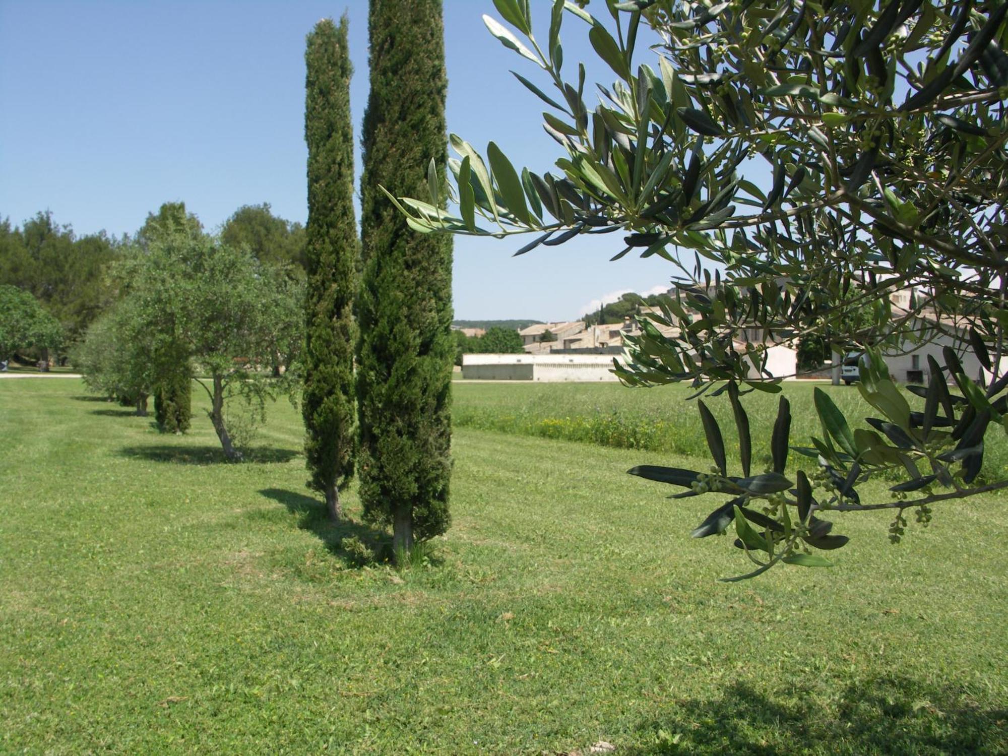 Готель Domaine Saint Martin Valliguieres Екстер'єр фото